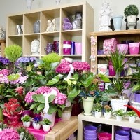 Gartengestaltung Blumen Ingrid Kornek 3
