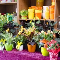 Gartengestaltung Blumen Ingrid Kornek 4