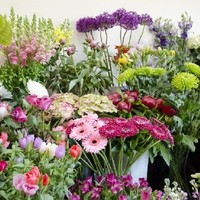 Gartengestaltung Blumen Ingrid Kornek 5