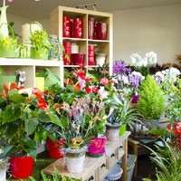 Gartengestaltung Blumen Ingrid Kornek 8