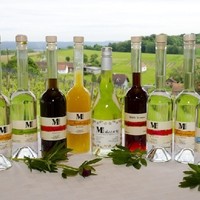 Unsere Schnäpse und Liköre aus eigener Erzeugung. Seit 2014 bieten wir unseren ersten Perlwein, den ´´Maizzante´´ an.