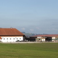 Georg Aigner Happy Horse Ranch18