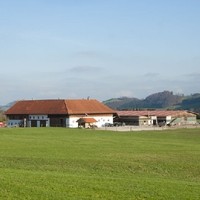 Georg Aigner Happy Horse Ranch19