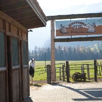 Georg Aigner Happy Horse Ranch20+
