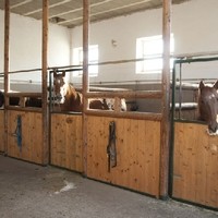 Georg Aigner Happy Horse Ranch21