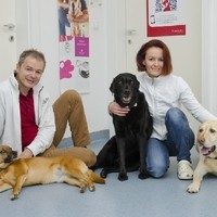 Tierarzt Dr. Hannes Mörtl 2