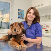 Dr. Andrea Wüstenhagen