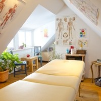 Astrid Magerl   Kinesiologie 3