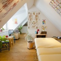 Astrid Magerl   Kinesiologie 4