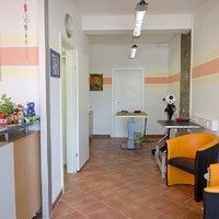 Hundestudio Angelika 4