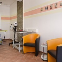 Hundestudio Angelika 6
