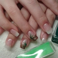 Bilder Galerie