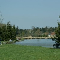 die Teichanlage