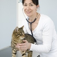 Dr. Ruth Budik Untersuchung