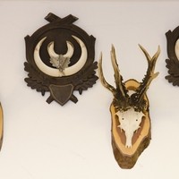 Schnetz Jagd & Sport Management GmbH & Co KG 8