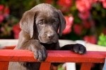 Fotolia 13782012 S