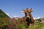 Fotolia 2287442 XS