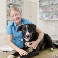 Mag. Susanne Zeitlinger Tierärztin
