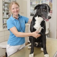 Mag. Susanne Zeitlinger Tierärztin
