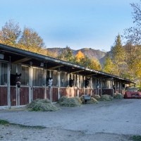 DSC 1841