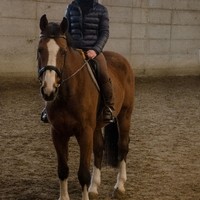 DSC 1869