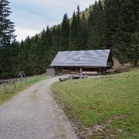 DSC 6600