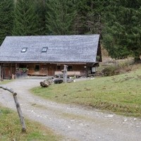DSC 6603