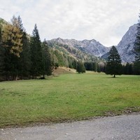 DSC 6605