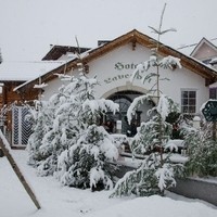 DSC 7609