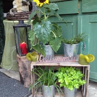 Photos from Herberts Stubn's post