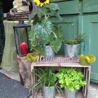 Photos from Herberts Stubn's post