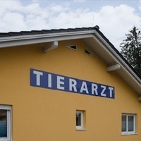 Seebauer