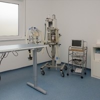 Seebauer7