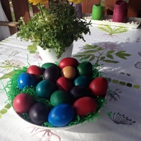 Timeline Photos