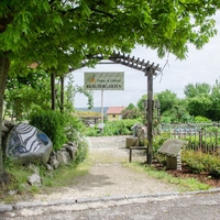 Hönegger GmbH Hildegard Naturhaus2