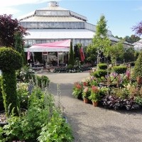 Aussenansichten Gartencenter Aschbach (18)