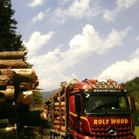 Photos from ROLY WOOD Holztransporte's post