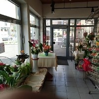 DSC 0226