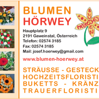 flyerhoerwey