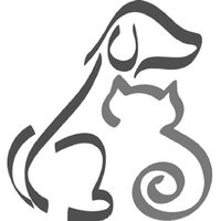 dog+cat