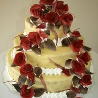 Condita's cover photo