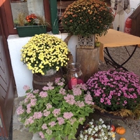 Photos from Herberts Stubn's post
