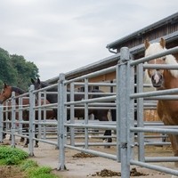 Erika Landl   Reiterhof Landl3