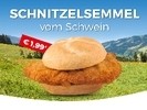 Timeline Photos