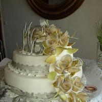 ht 3 st rosen 20120510 1601177567