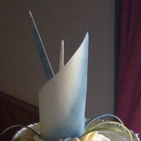ht blau calla 20110227 1309048107