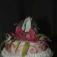 ht orchideen 1 20130616 1854019503