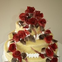 ht tu rosen rotschwarz 1 20130723 1198374179