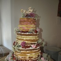 nacked cake 1 20150905 1886160580