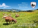 Rudolf Ströbel KG's cover photo